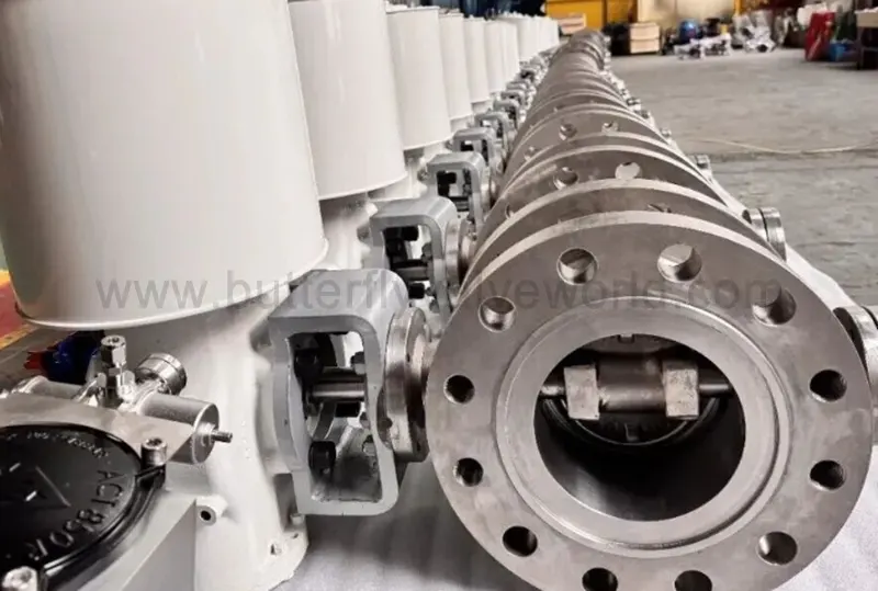 Seawater Desalination Butterfly Valve