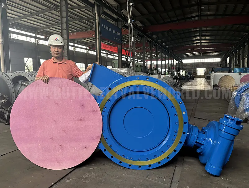 Seawater Desalination Valves: Rotary Butterfly Valve–Aluminum Bronze Butterfly Valves