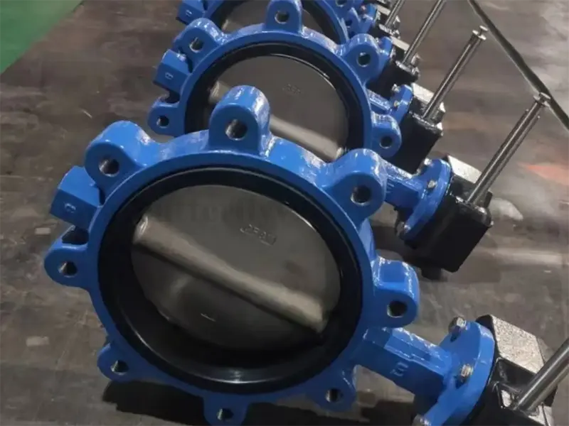 Lug Type Wafer Soft Seat Butterfly Valve with Gear Operated